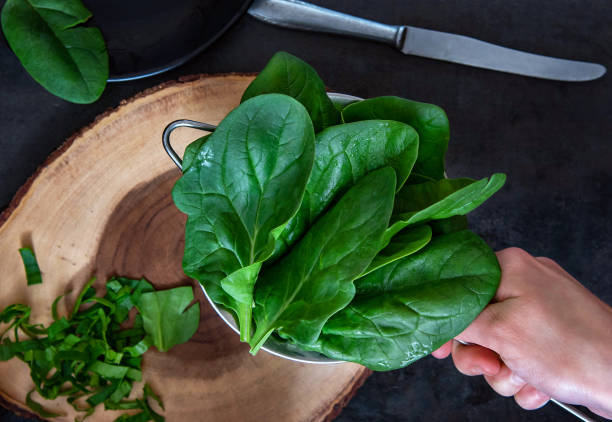istock Female hand holds a colander with freshly washed spinach 1234427579