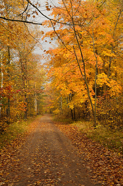 istock Northern Back Roads in Autumn 123455507