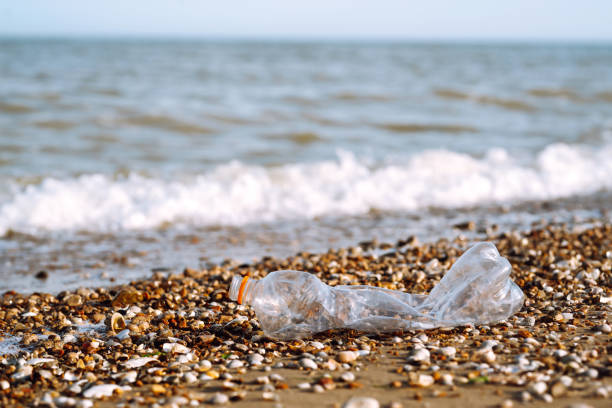 pusta plastikowa butelka na plaży morskiej. - wine wine bottle bottle collection zdjęcia i obrazy z banku zdjęć