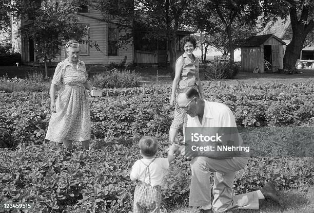 Familie Pflücken Erdbeeren 1960 Retro Stockfoto und mehr Bilder von Familie - Familie, Fotografie, 1960-1969