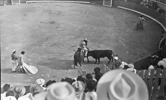 Bullfight with picador (horseman with lance) engaging bull. Matador off to side observing bull. 1949. Also