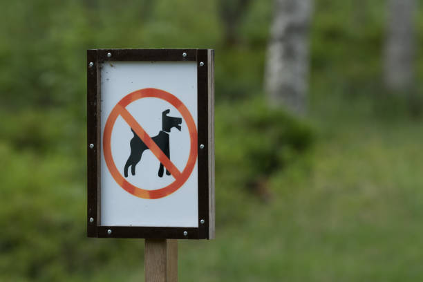 istock Not dogs allowed sign against blurred grass and trees background, horizontal frame 1234597953
