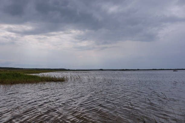 istock Nature reserve Pape Lake in rain 1234608907