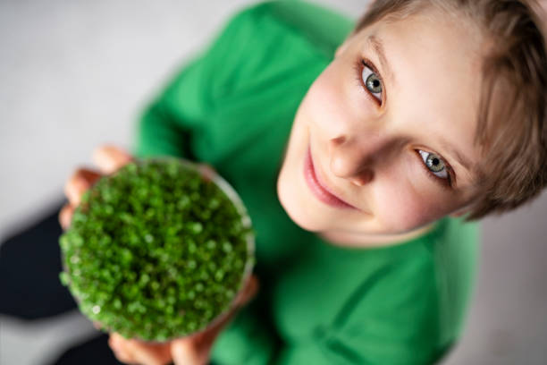 Little boys is holding microgreen basil sprouts growing in a sprouter.\nNikon D850