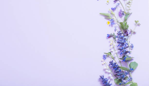istock beautiful summer flowers on blue background 1234617314