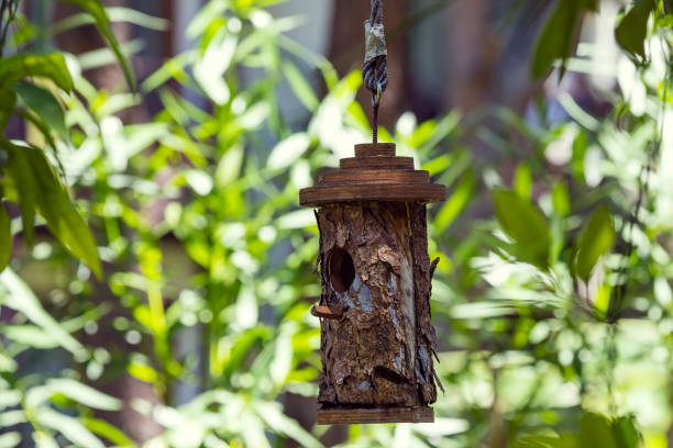 casa de pájaros de madera en el tronco de un árbol - birdhouse house bird house rental fotografías e imágenes de stock