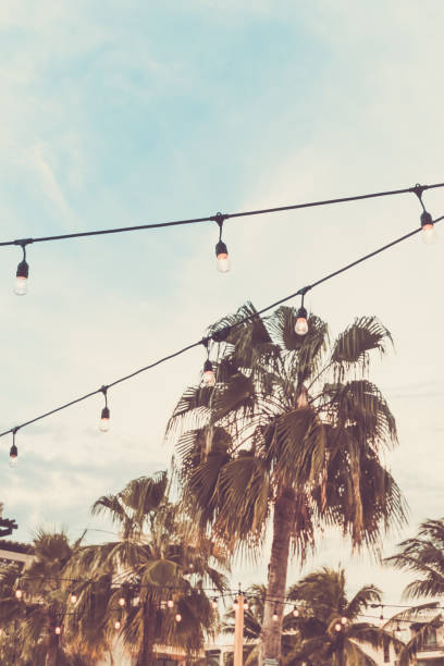 istock Trendy outdoor bulb garlands in tropical setting 1234625625