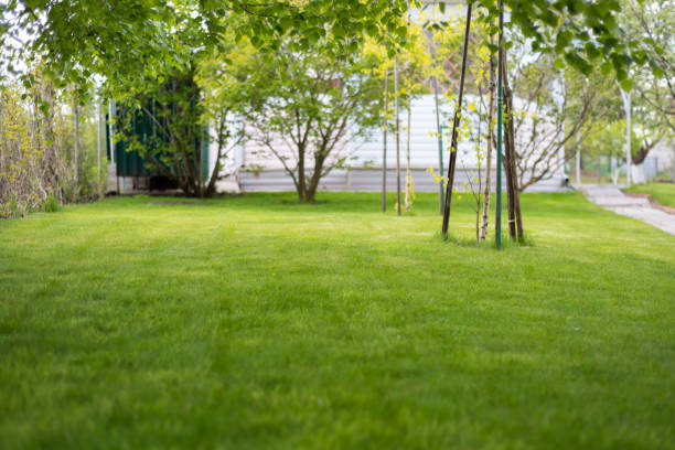 istock a lush green lawn with a house in the background 1234631809
