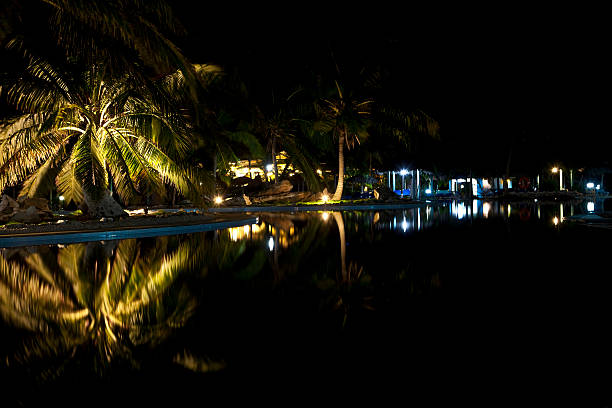 istock Luxury Resort Hotel Swimming Pool with Palm Trees at Night 123463581