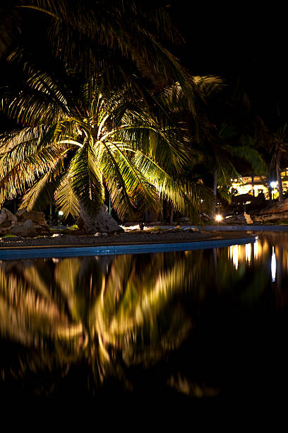 istock Luxury Resort Hotel Swimming Pool with Palm Trees at Night 123463590