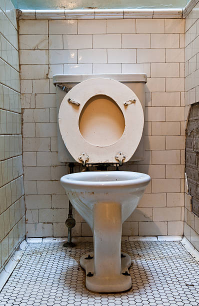 istock Dirty Old Toilet 123466003