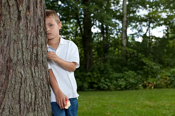 Boy hiding behind a tree