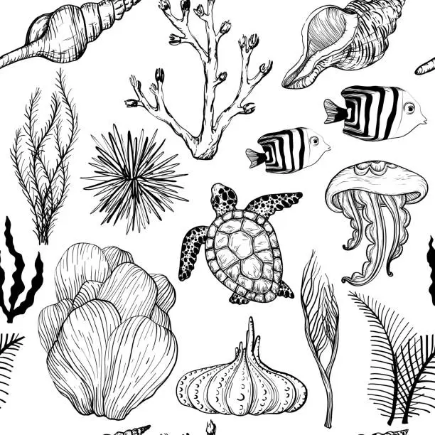 Vector illustration of Seamless pattern with marine hand drawn corals and marine life. Black and white