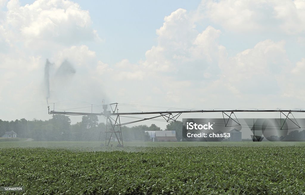 Irrigating Farmland - Foto de stock de Agricultura libre de derechos
