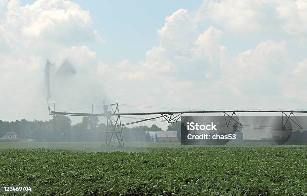 Irrigating Farmland Foto de stock y más banco de imágenes de Agricultura - Agricultura, Agua, Aire libre