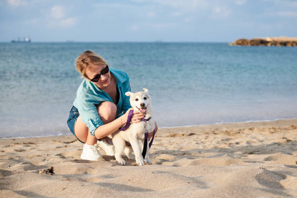 istock Walk with dog at the beach 1234723857