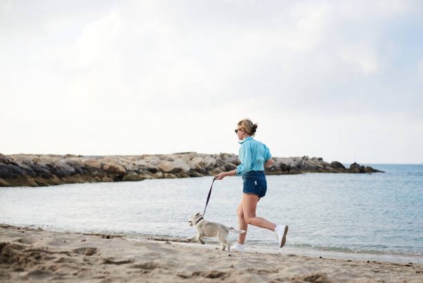 istock Walk with dog at the beach 1234728538