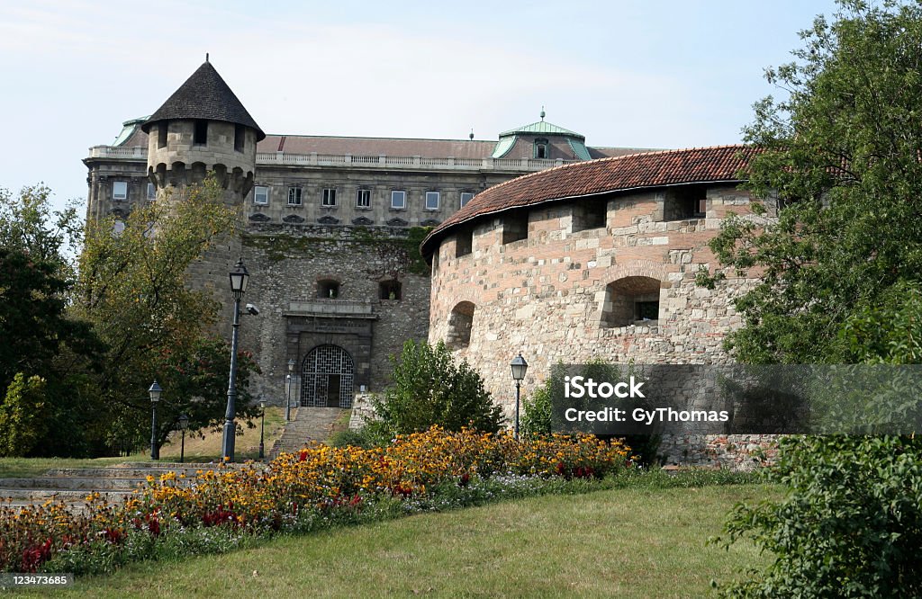 Palazzo Reale di Budapest - Foto stock royalty-free di Architettura