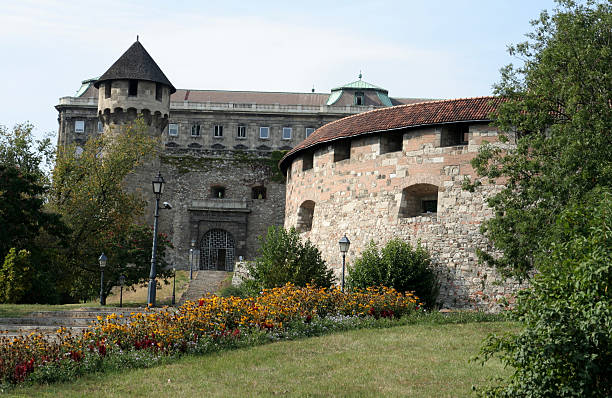 Royal Palace of Buda stock photo