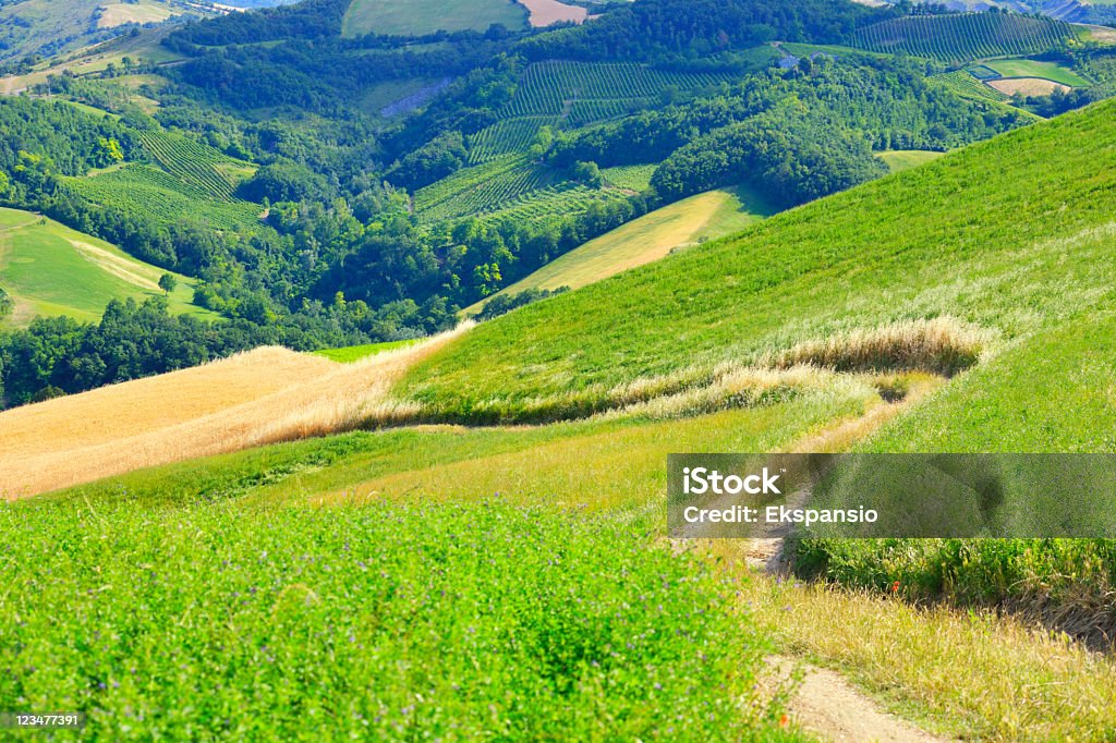 Avvolgimento sentiero in ambiente rurale - Foto stock royalty-free di Emilia-Romagna