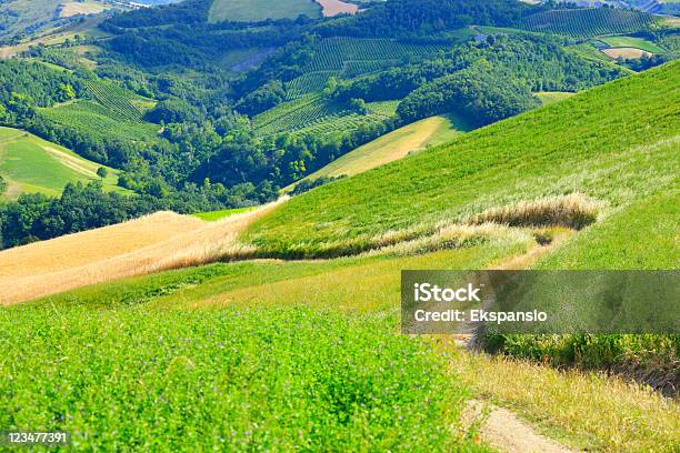 Avvolgimento Sentiero In Ambiente Rurale - Fotografie stock e altre immagini di Emilia-Romagna - Emilia-Romagna, Collina, Azienda vinicola