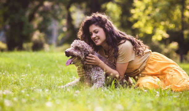 istock You are my heart. 1234787866