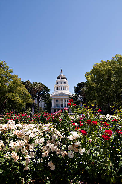 istock Califonia State Capitol Building With Rose Garden 123482727