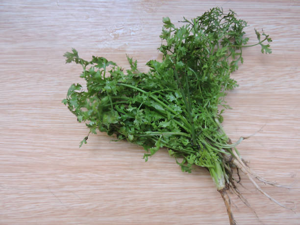 кориандр - cilantro coriander seed leaf garnish стоковые фото и изображения