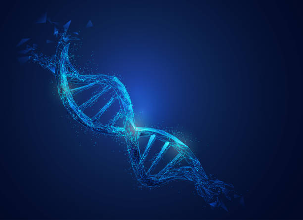 polyDNA Graphic of low poly DNA with futuristic element in science theme genetic research stock illustrations