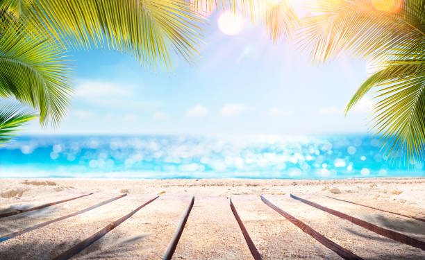 papan kayu kosong dengan pantai kabur dan laut di latar belakang - kelapa buah tropis foto potret stok, foto, & gambar bebas royalti