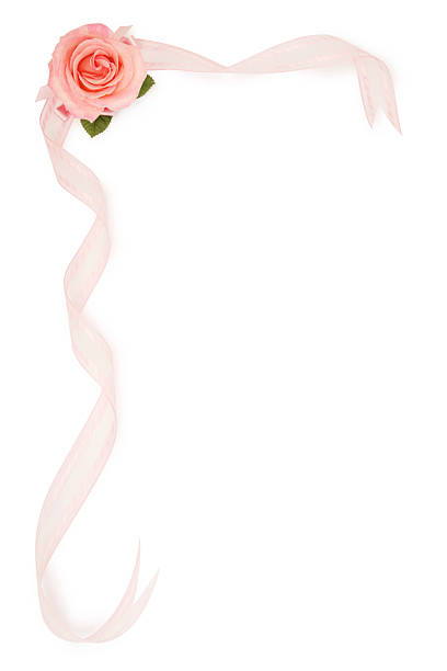 Red rose with ribbon and confetti on white wood background