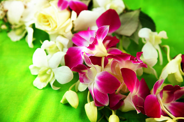 hawaiian lei - hawaiian orchid fotografías e imágenes de stock