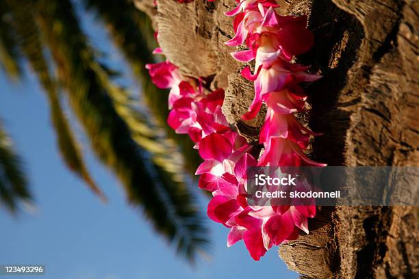 Hawajski Lei Z Palm Tree - zdjęcia stockowe i więcej obrazów Hawaje - Hawaje, Wielka Wyspa - Hawaje, Aloha - angielskie słowo