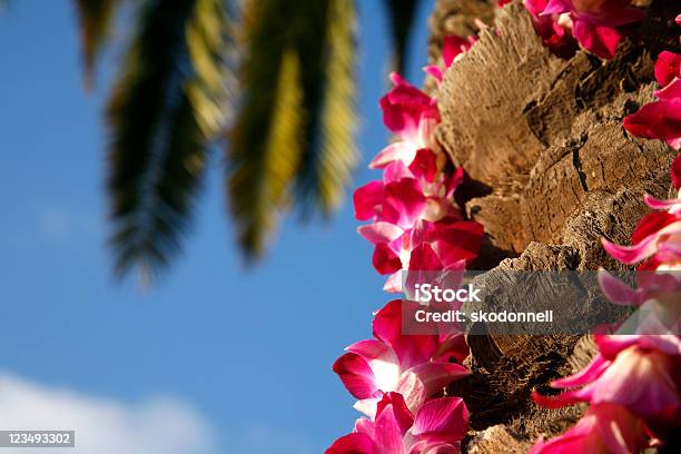 Photo libre de droit de Collier De Fleurs Hawaïen Sur Palm Tree banque d'images et plus d'images libres de droit de Aloha - Mot hawaïen - Aloha - Mot hawaïen, Collier de fleurs, Culture hawaïenne