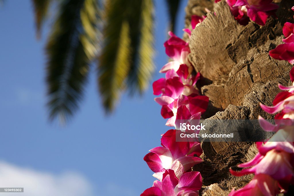 lei em havaiano palm tree - Foto de stock de Aloha - Palavra havaiana royalty-free