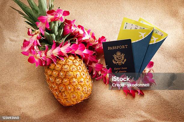 Podróż Do Tropikalnej Wyspie - zdjęcia stockowe i więcej obrazów Ananas - Ananas, Plaża, Girlanda