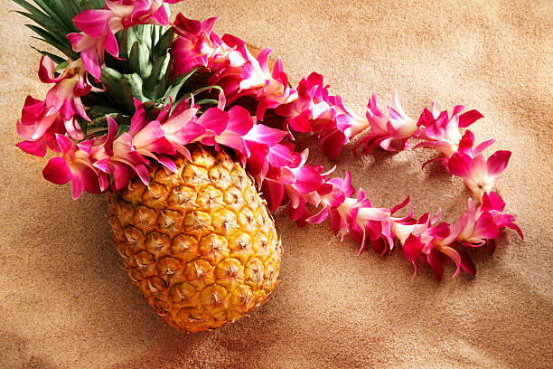 lei sur ananas sur la plage - hawaiian food photos et images de collection