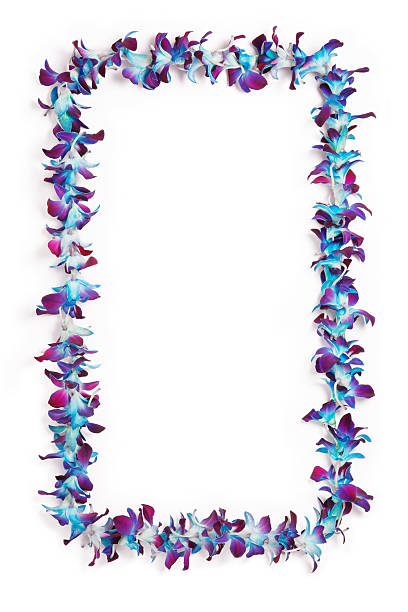 гавайская lei border - hawaiian culture garland frame hawaii islands стоковые фото и изображения