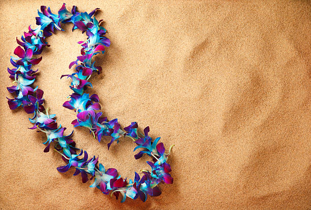 blue hawaiian lei on the beach  luau stock pictures, royalty-free photos & images