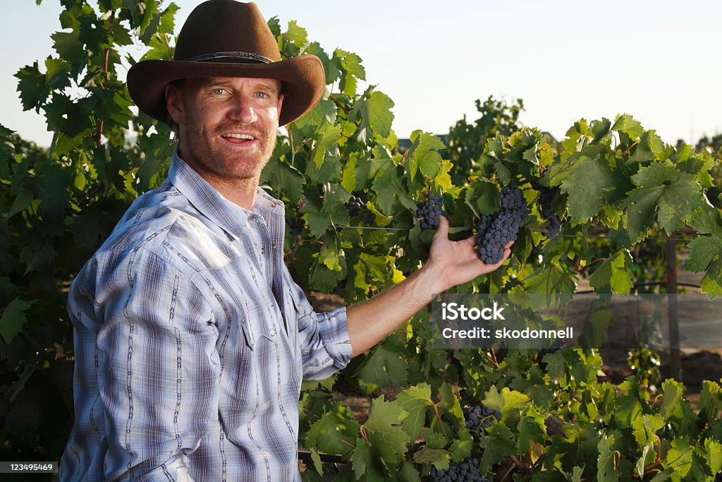 Vintner holding grapes  Adult Stock Photo