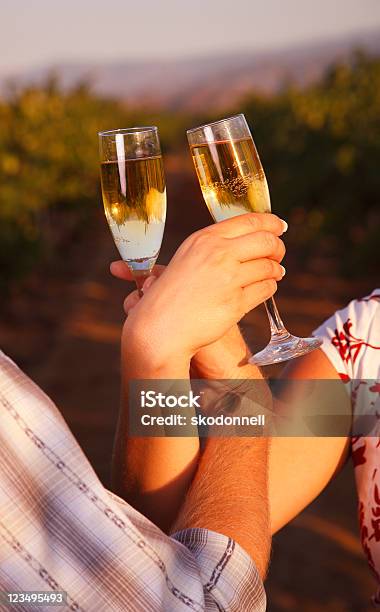 Brindis Champagne En El Viñedo Foto de stock y más banco de imágenes de Entrelazado - Entrelazado, Brindar, Champán