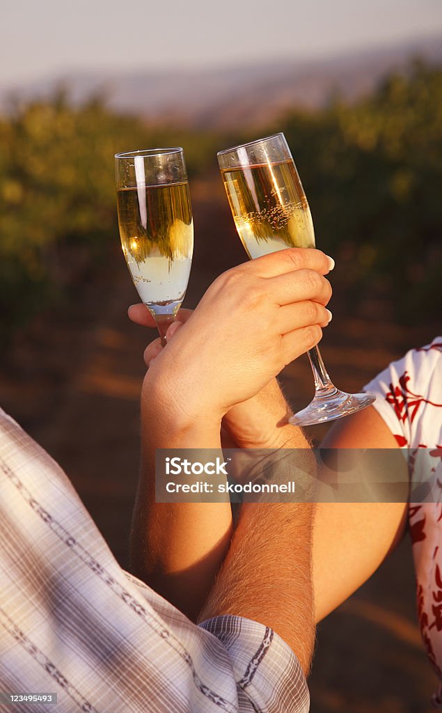 Podpiecz w winnicy Champagne - Zbiór zdjęć royalty-free (Spleciony - Dotykać)