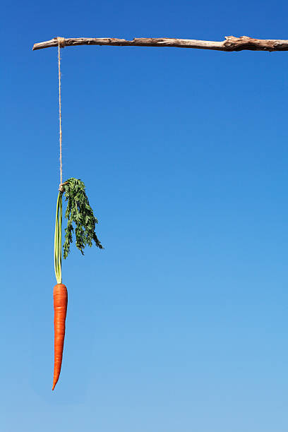 agiter une carotte - stick dangling a carrot carrot motivation photos et images de collection