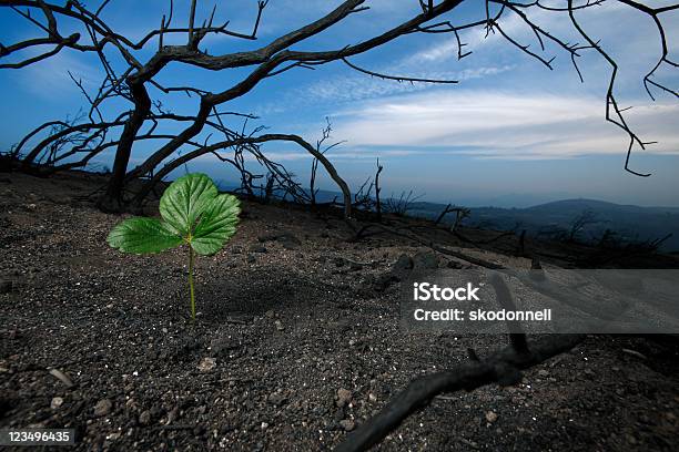 Hope - Fotografie stock e altre immagini di Fuoco - Fuoco, Ristrutturazione, Distruzione