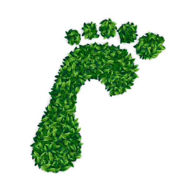 illustrazioni stock, clip art, cartoni animati e icone di tendenza di impronta ecologica, concetto di energia verde - recycling carbon footprint footprint sustainable resources