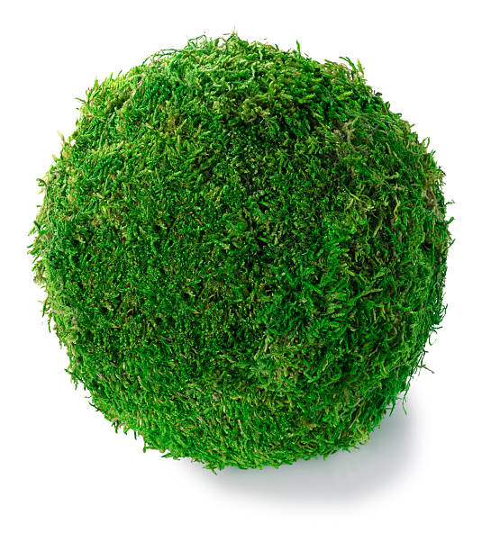 Green Grass Ball  greenpeace stock pictures, royalty-free photos & images