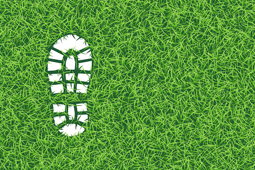 Footprint in the grass, realistic vector illustration