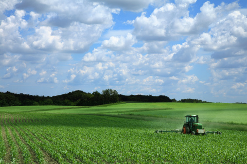 a new green tractor stands near the field, beautiful dramatic sky