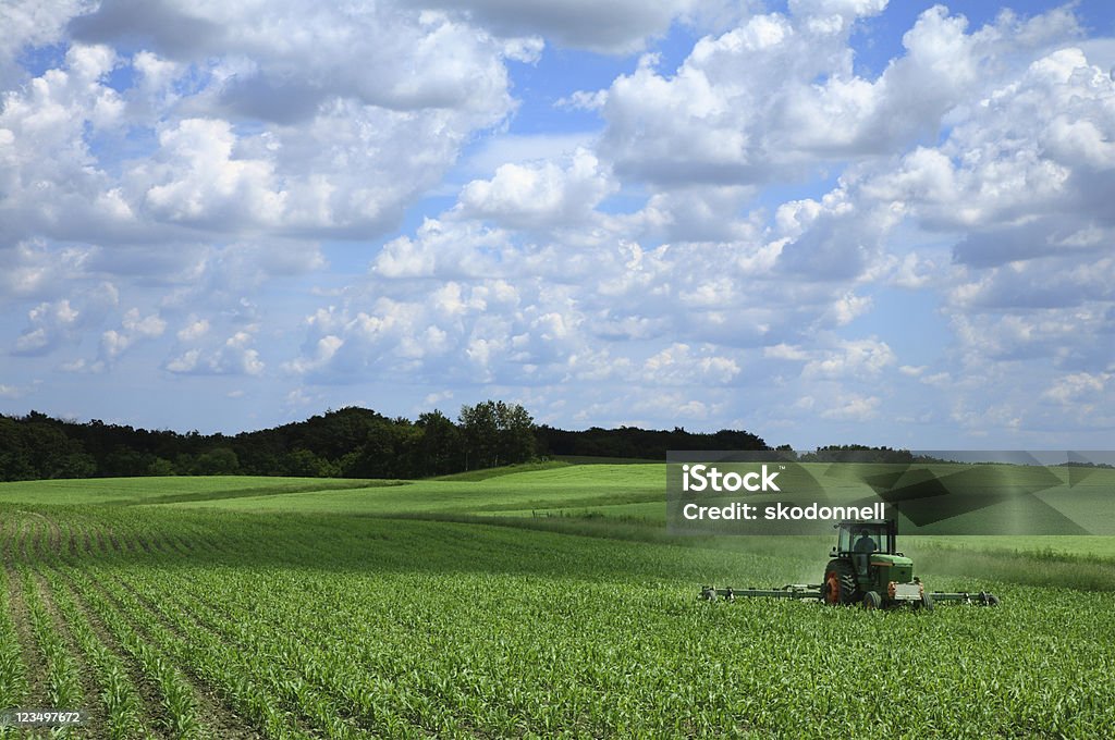 Farming a Corn Field  Agricultural Field Stock Photo