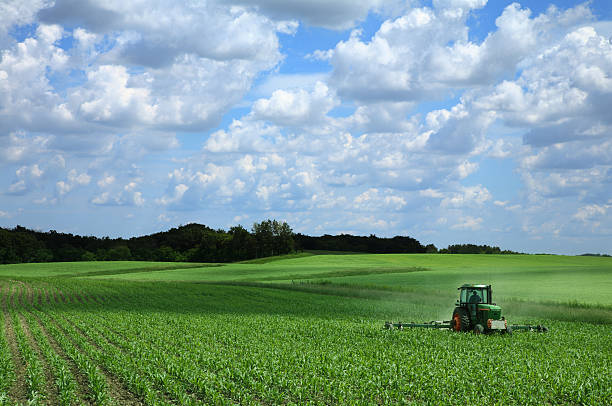 Farming a Corn Field  iowa stock pictures, royalty-free photos & images